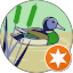 Review From Swan Yul