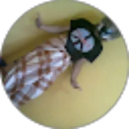 Review From Bang Alo