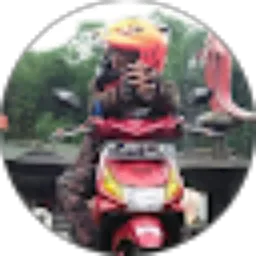 Review From Olan Maulana