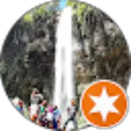 Review From Dwi Haryanto