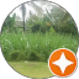 Review From safariku 80