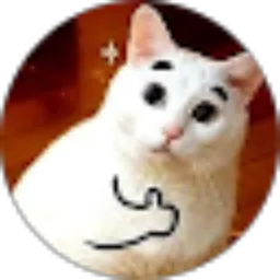 Review From Wisnu Pramuditya