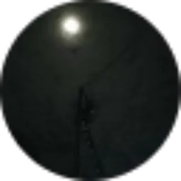 Review From Amir King