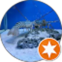 Review From Agny Vinicius