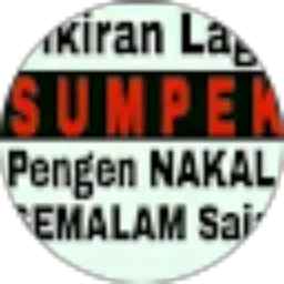 Review From Yuli anto