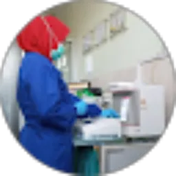 Review From Ellen Septaria