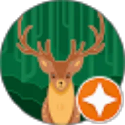 Review From Didi Nas