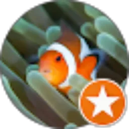 Review From Anak Bawang