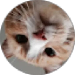 Review From Fitriani Djuma