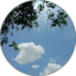 Review From Ayaa Dxxz