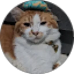 Review From Rasta Mapoghos