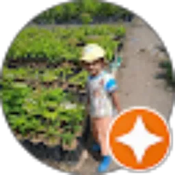 Review From Cahyo Dwi