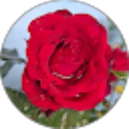 Review From YanCa 88
