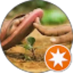 Review From gustia sinaga