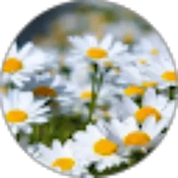 Review From Egha Kurniawan