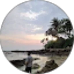 Review From Muhammad Rizky Fadholi