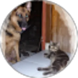 Review From Rissa Mega Rachmawati