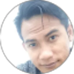 Review From Anton Budiyono