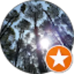 Review From Yanita Dwijayanti