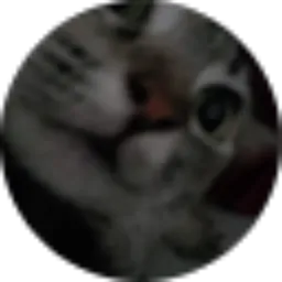 Review From Maitsa Syifa