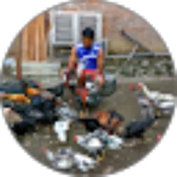 Review From haryadi Hasbi