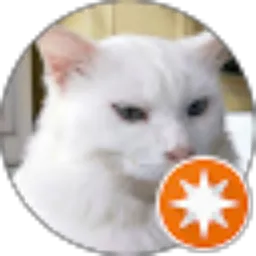 Review From Royadin Muslim