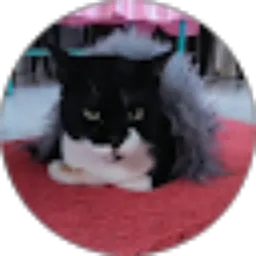 Review From faizal Hidayatullah