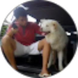 Review From Brian Rahmadi