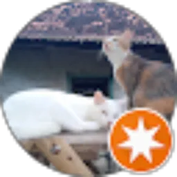 Review From wahyu sofyanto