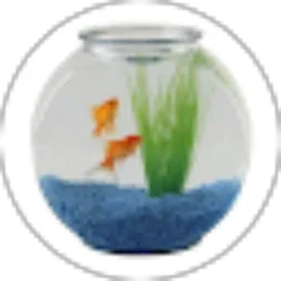 Review From Carolina Alexandra