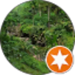 Review From rakhmat wijayanto