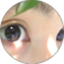 Review From maomao o3o