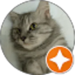 Review From Rahmawati Dewi