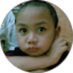 Review From shunu pratomo