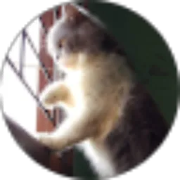 Review From dina nurul ihsani