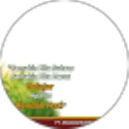 Review From listi yani