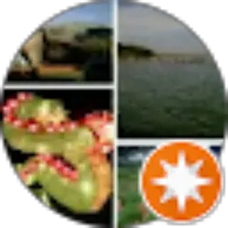 Review From handoko widjaja