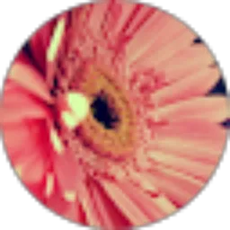 Review From qinaatum mubarokah