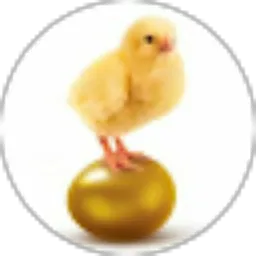 Review From Frenky L