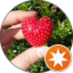 Review From Christien Milo