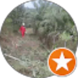 Review From Faisal Marzuki