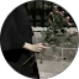 Review From Silvia chayara alima