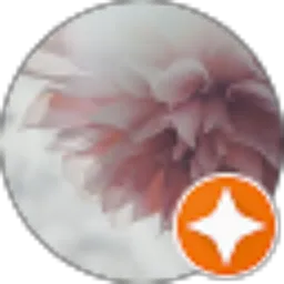 Review From 광화문에서CiL'z