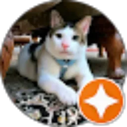 Review From Ade Putra Darmawan