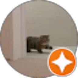 Review From Muhammad Raffi