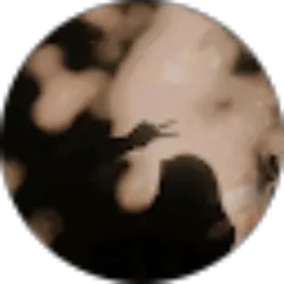 Review From Melisa Salwa