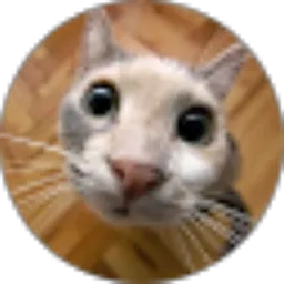 Review From Rahmania prama oktina