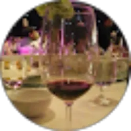 Review From Paulus Satrijo