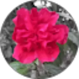 Review From Ainur Radhiah