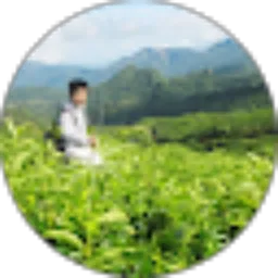 Review From rahman syarif